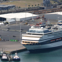 Location, Location, Location – Getting The Best From Your Tauranga Cruise Tours